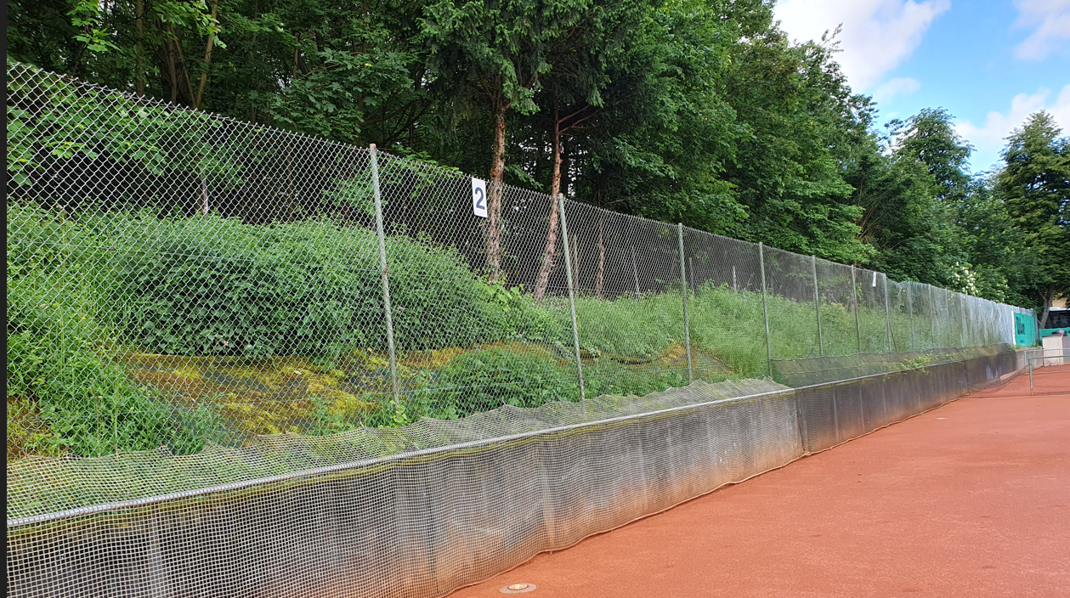 der Platz für die die geplante Tribüne