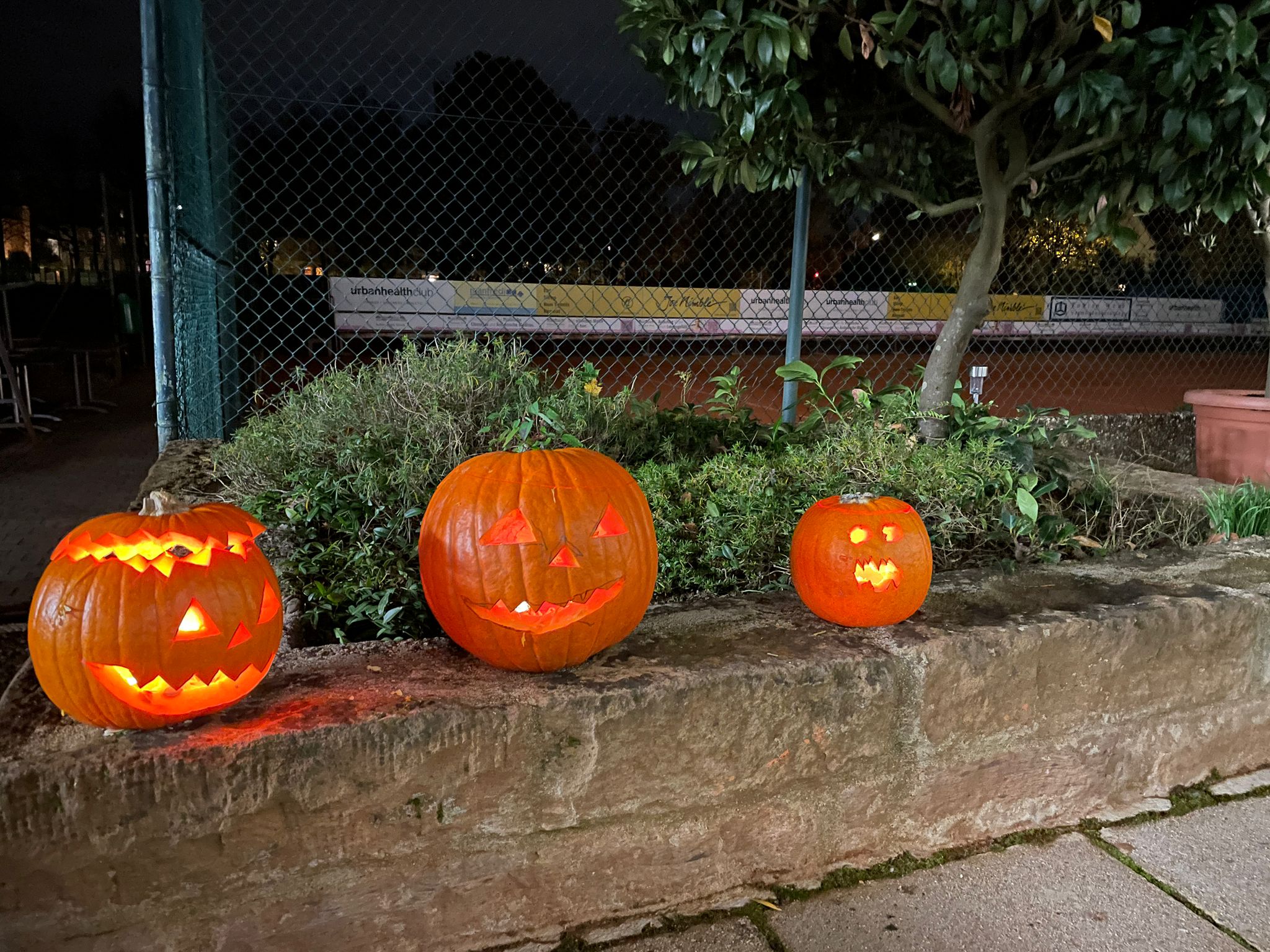 Herbstglühen Herbstglühen